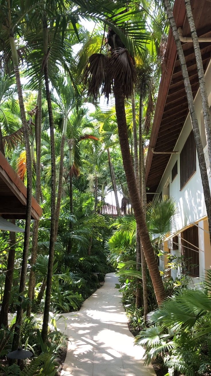 Jamaica
