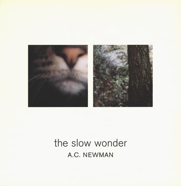 Slow Wonder