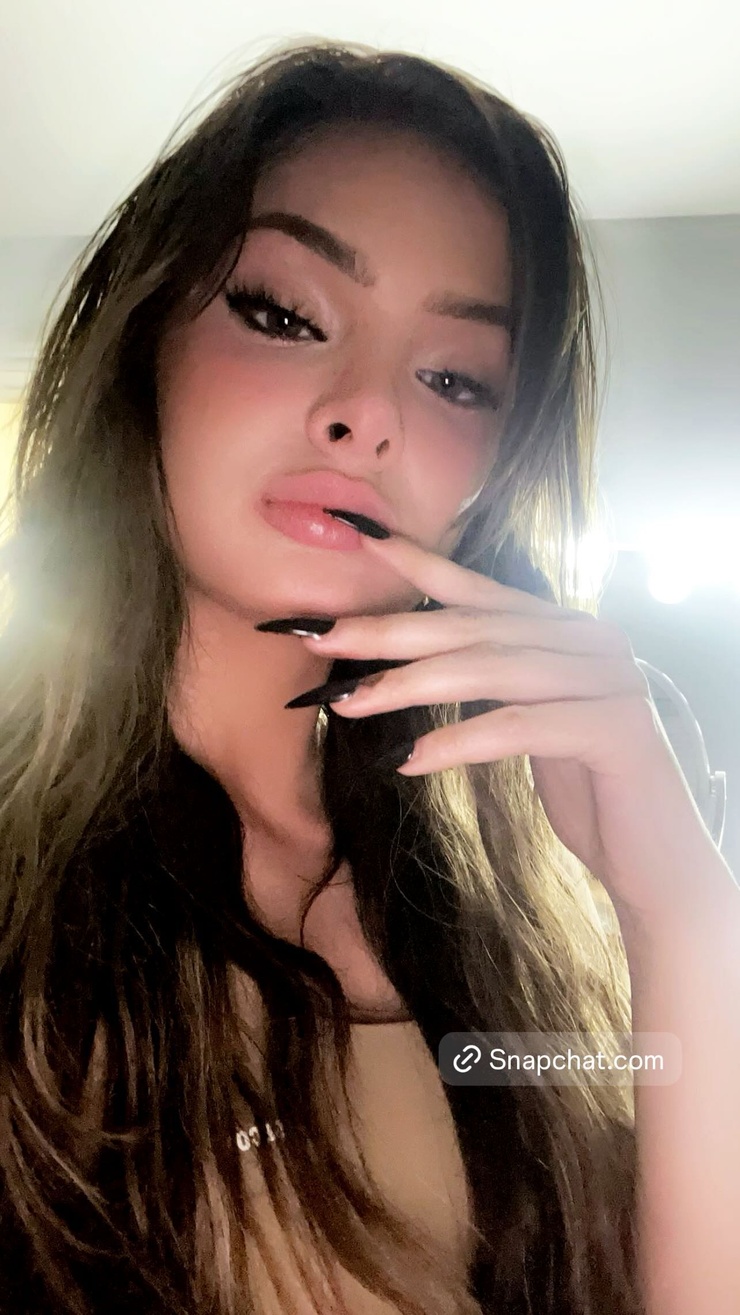 Brighton Sharbino