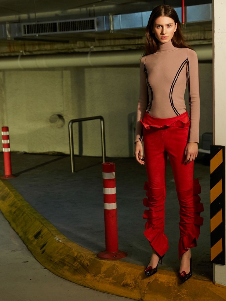 Iris Lie model