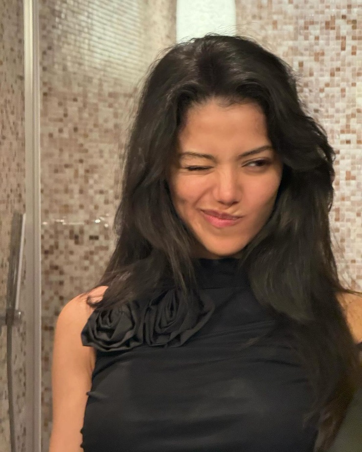 dina denoire