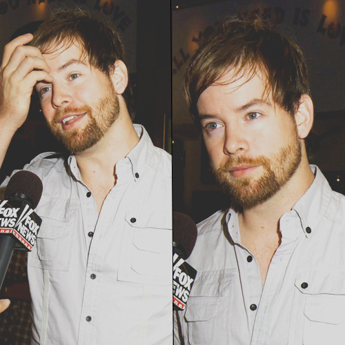 David Cook