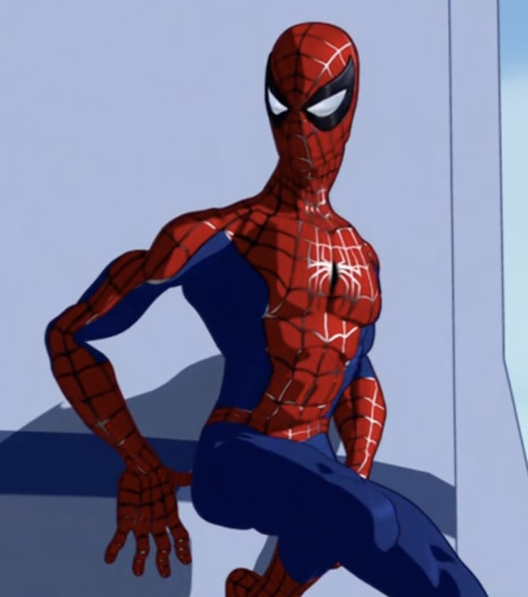 Picture of Spider-Man (TNAS)