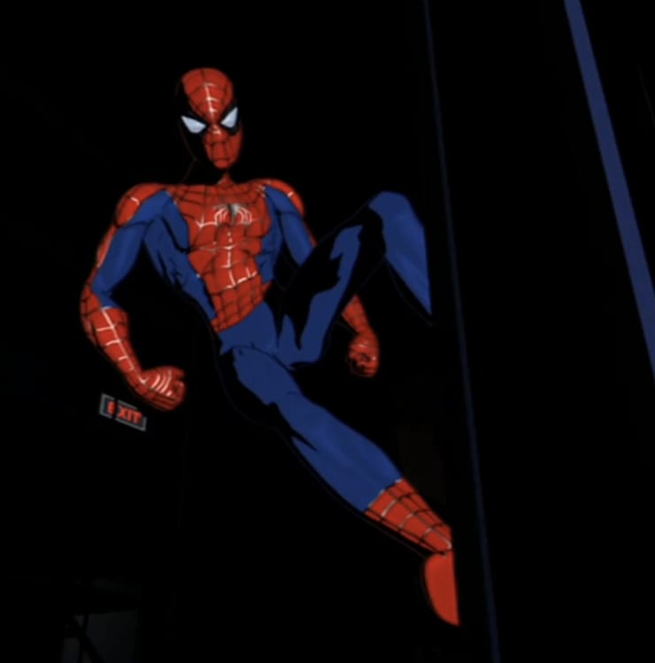 Spider-Man (TNAS)