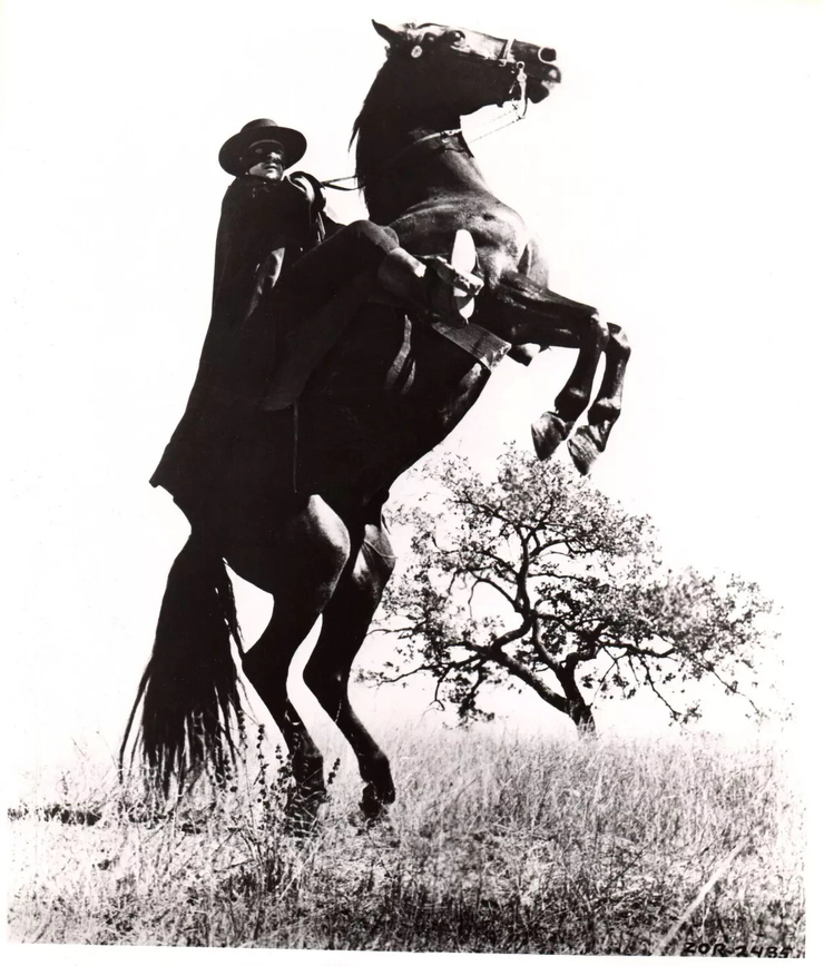 Guy Williams