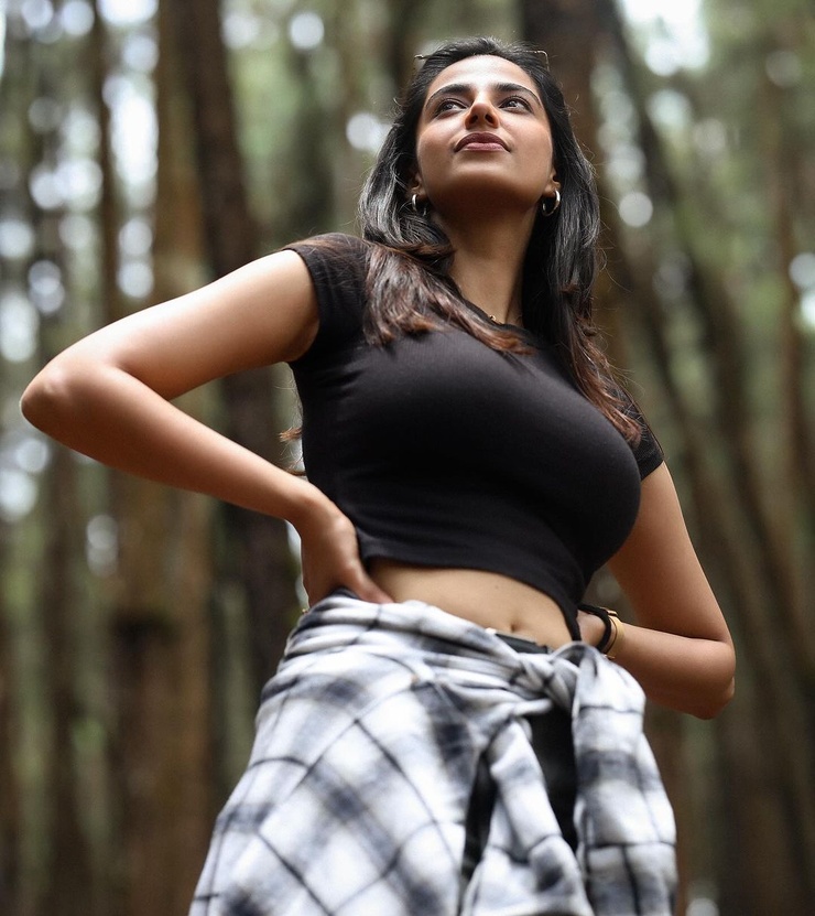 Meenakshi Chaudhary Meenakshi Chaudhary