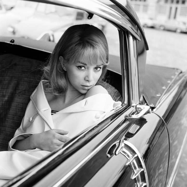 Mireille Darc