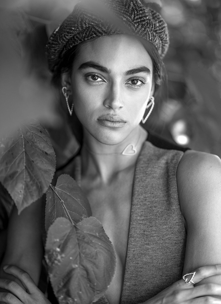 Denise Croce
