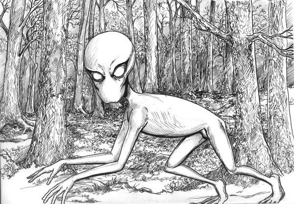 Dover Demon