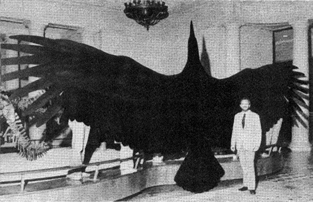 Thunderbird