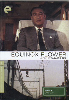Equinox Flower
