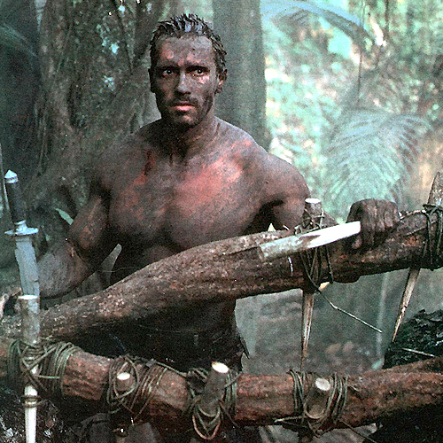 Predator Predator