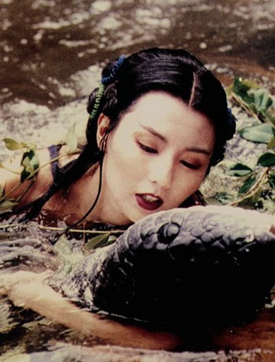 Green Snake (1993)