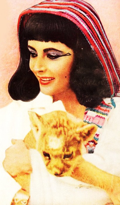 Elizabeth Taylor Elizabeth Taylor