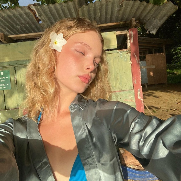 Pdm Clara