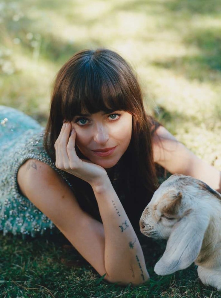 Dakota Johnson Dakota Johnson