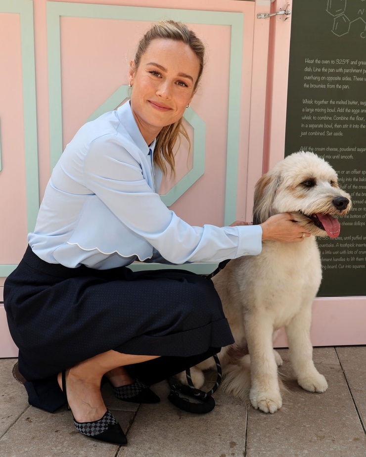 Brie Larson Brie Larson