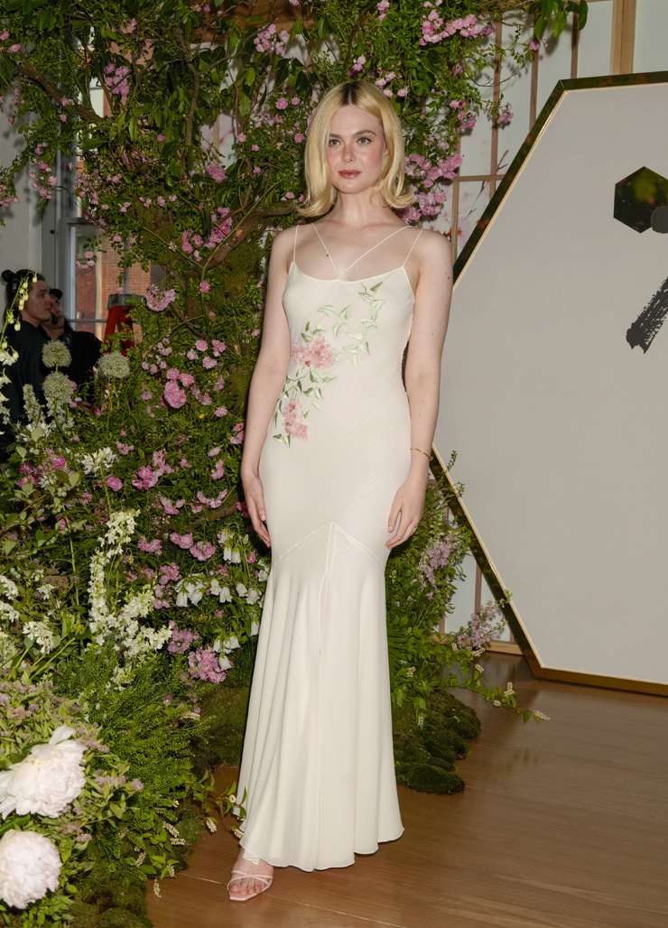 Elle Fanning Elle Fanning