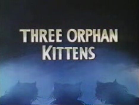 Three Orphan Kittens