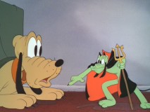 Lend a Paw Lend a Paw