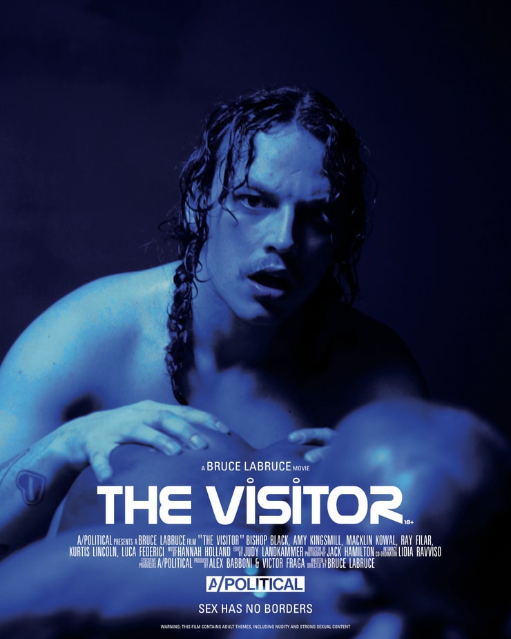 The Visitor