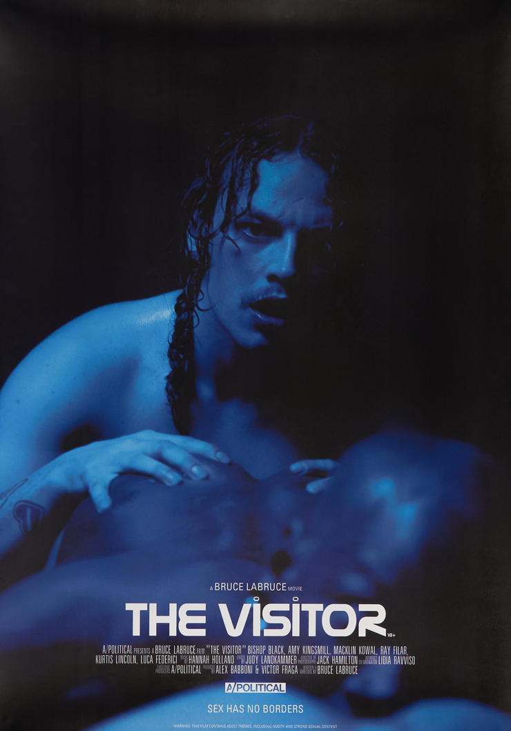 The Visitor