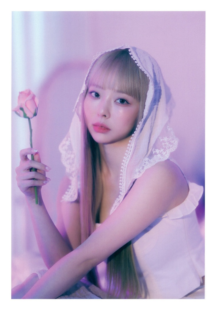 ViVi