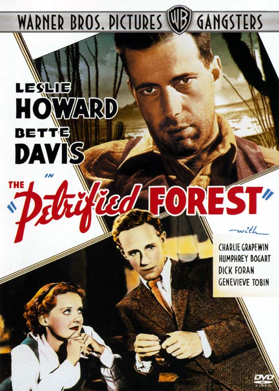 The Petrified Forest