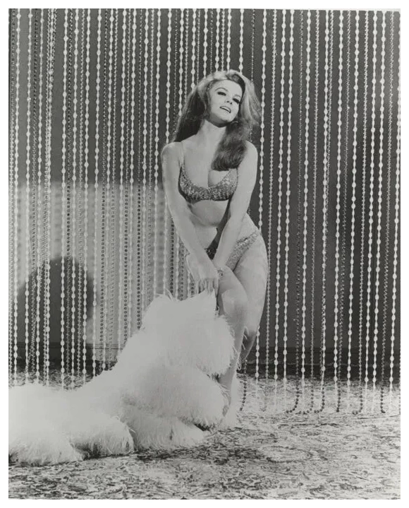 The Swinger