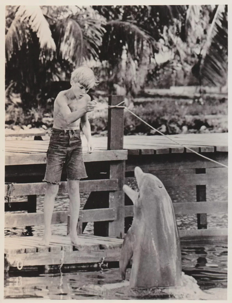Flipper