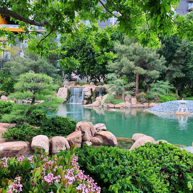Japanese Friendship Garden of Phoenix, Arizona