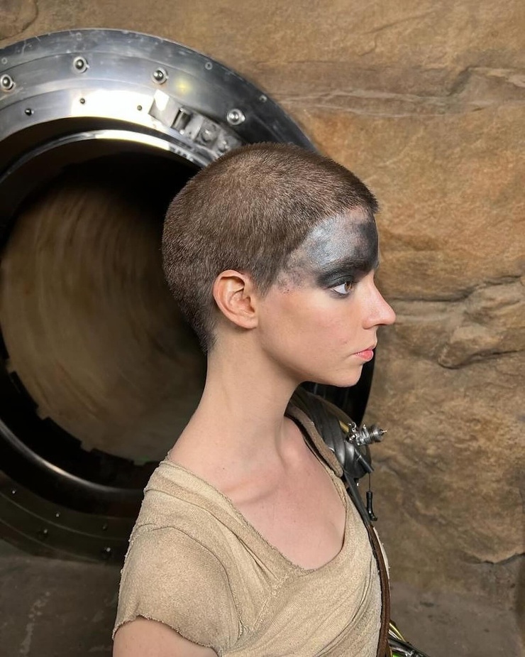 Furiosa: A Mad Max Saga