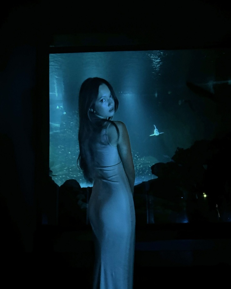 Lily Chee Lily Chee