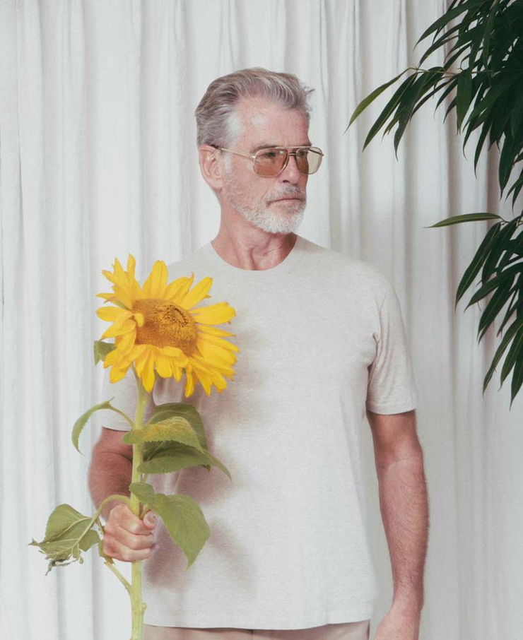 Pierce Brosnan