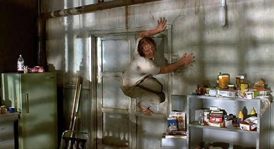 The Fly
