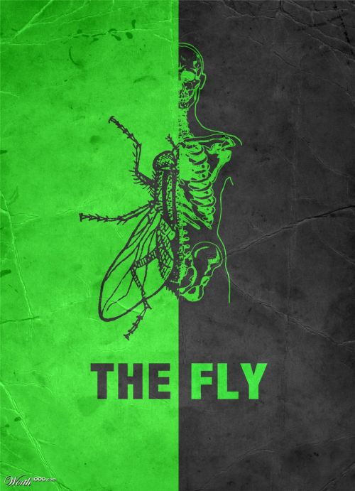 The Fly The Fly