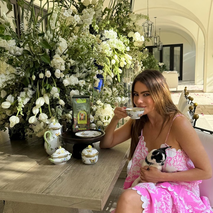 Sofía Vergara