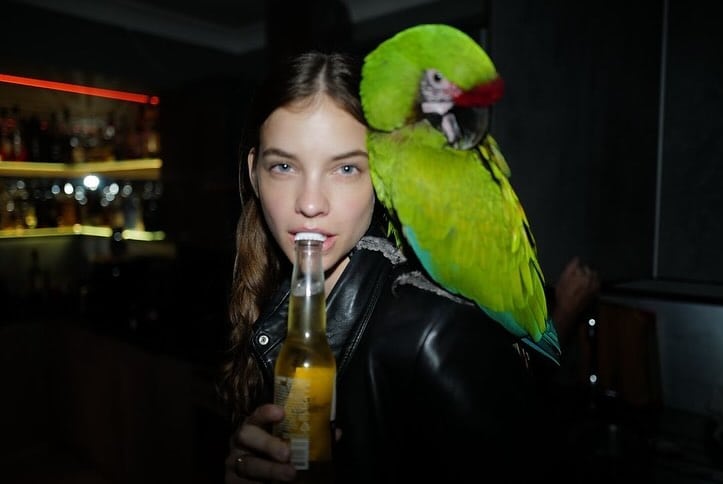 Barbara Palvin