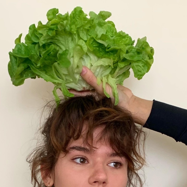allie clarkson
