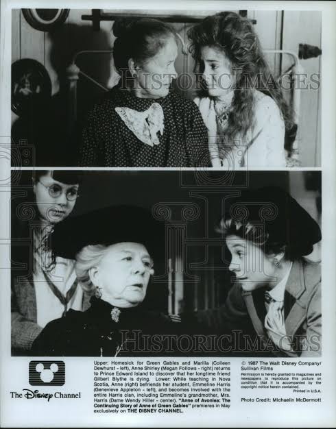 Anne Shirley (Megan Follows)