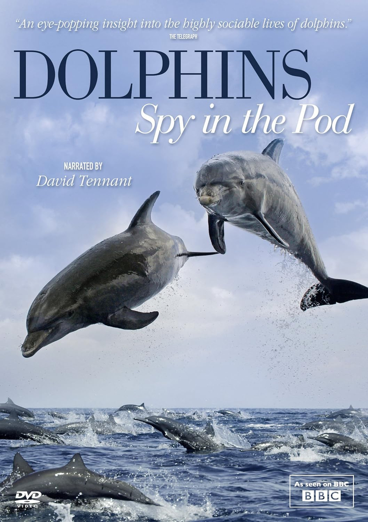 Dolphins: Spy in the Pod