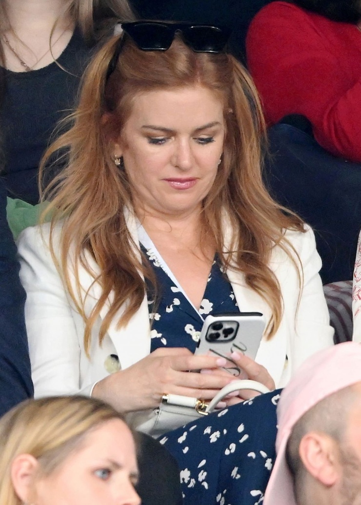 picture-of-isla-fisher