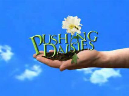 Pushing Daisies