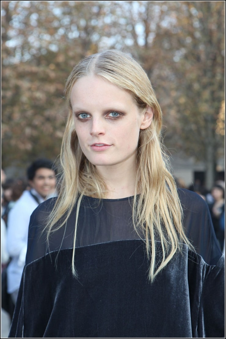 Picture of Hanne Gaby Odiele