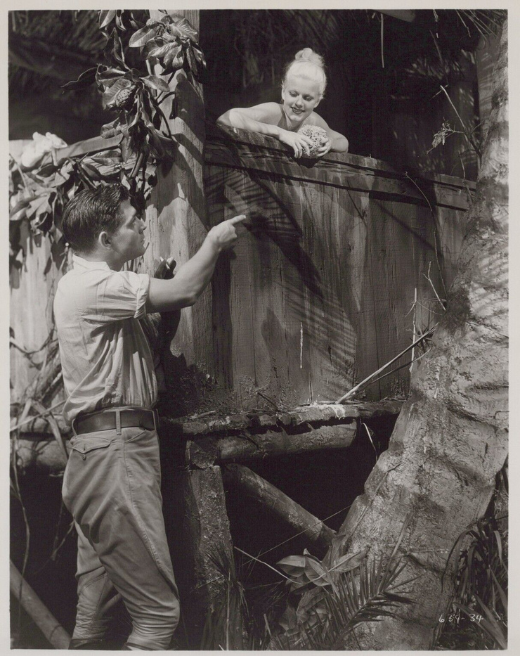 Red Dust (1932)
