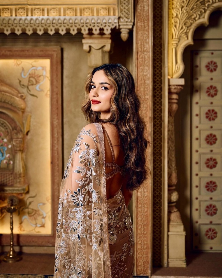 Manushi Chhillar