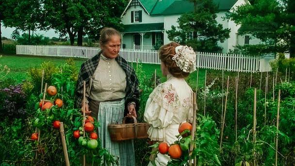 Anne Shirley (Megan Follows)