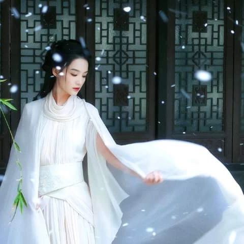 Qin Li