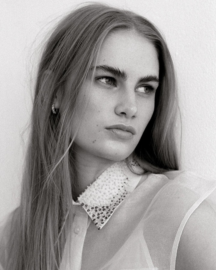 Picture of CICELY ROSE