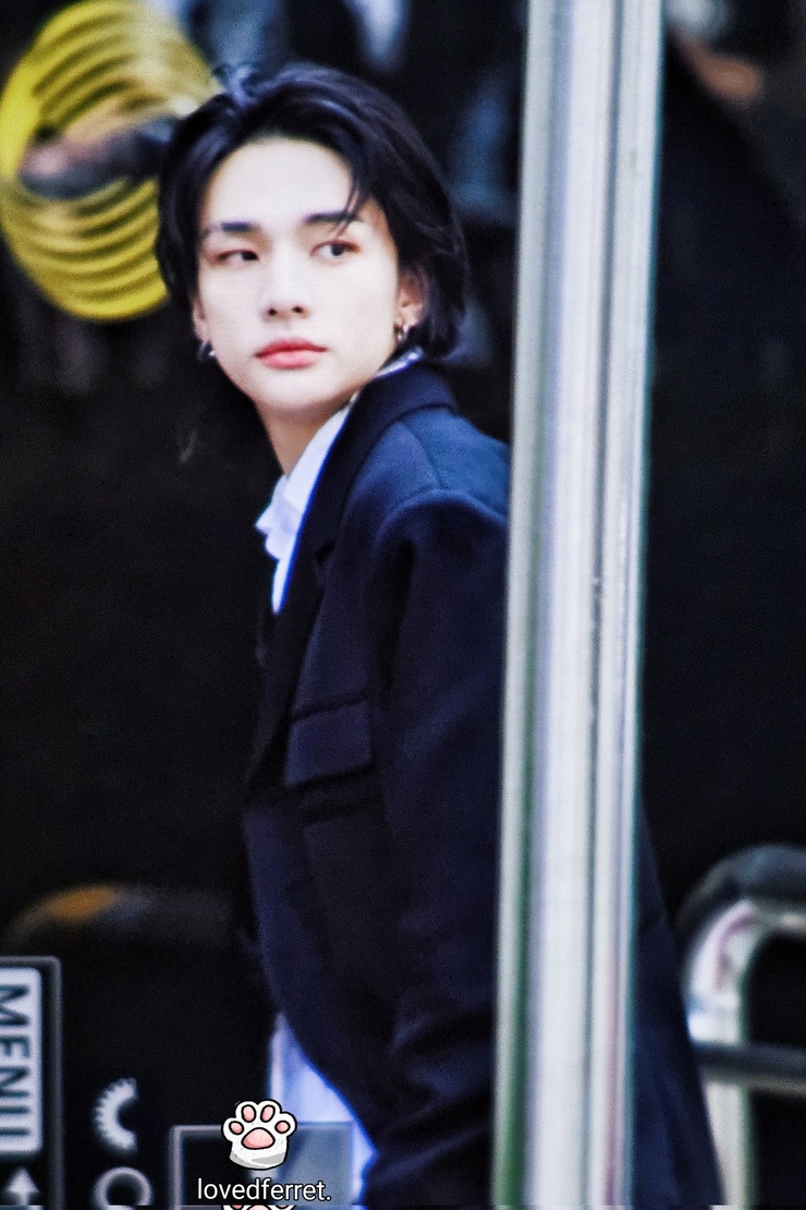 Hyun-Jin Hwang